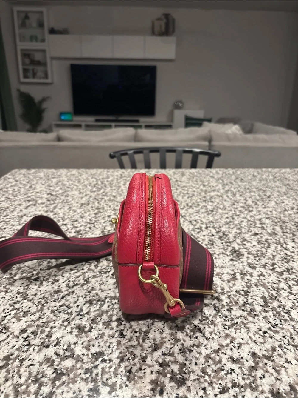 COACH Camera Heart Bag | Red and Brown | Medium